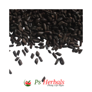 Chaksu (Cassia absus)