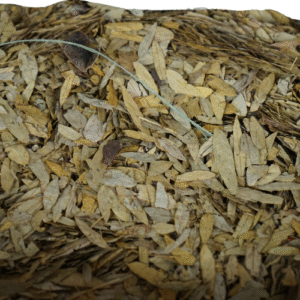 Senna (Cassia angustifolia)