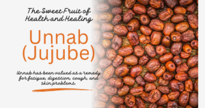 Read more about the article Unnab (Jujube)