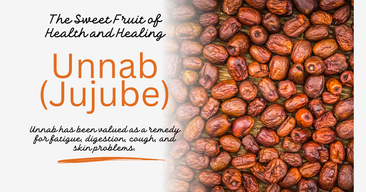Read more about the article Unnab (Jujube)