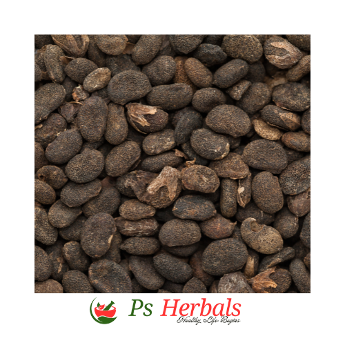 Bakuchi (Psoralea corylifolia) - Image 2