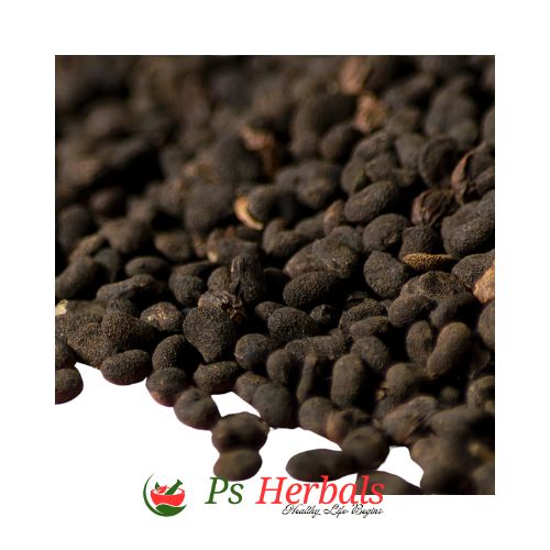 Bakuchi (Psoralea corylifolia) - Image 3