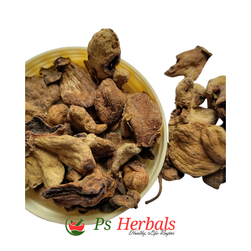 Kakad Singhi (Pistacia integerrima) - Image 3