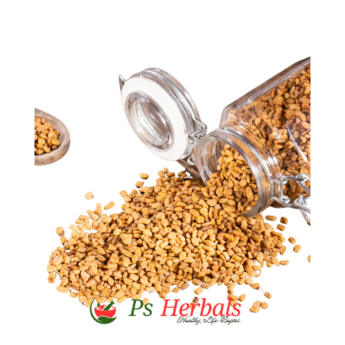 Methi (Trigonella foenum-graecum) - Image 3